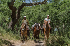 Portugal-Lisbon Area-In the Land of the Lusitano